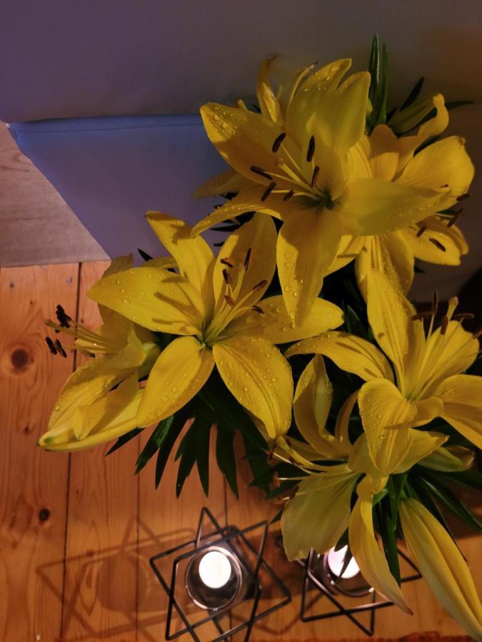 Apartament Lilla Jelenia Góra Eksteriør billede