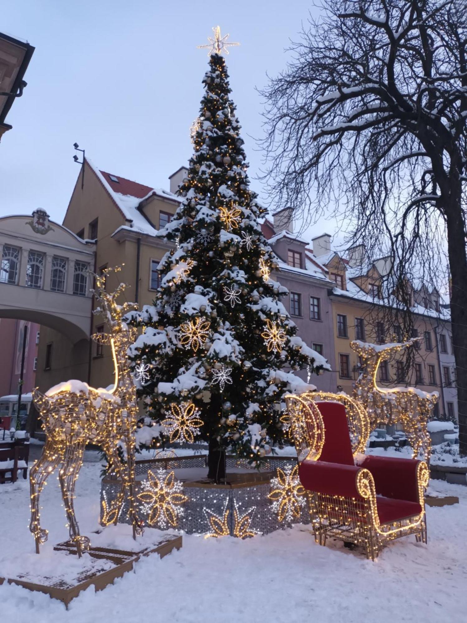 Apartament Lilla Jelenia Góra Eksteriør billede